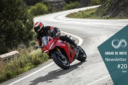 Newsletter nº 20/2025 - 20 de Maio de 2025