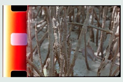 Abertura METEORIZAÇÕES de FILIPA CÉSAR ET AL. - Exposição Serralves de 15 de Janeiro a 31 de Maio