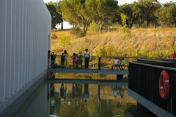 Fluviário de Mora festeja o dia das bruxas com entradas grátis para os mais novos