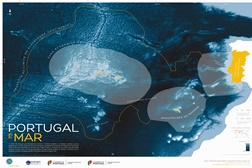 Oceanário de Lisboa celebra o Dia Mundial dos Oceanos
