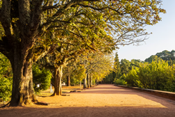 Fonte Jacques Gréber regressa a Serralves 40 anos depois - Peça constava do projeto original do Parque de Serralves