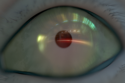 Olho Iridiscente ©Jonathan Uliel Saldanha | Ricardo Megre