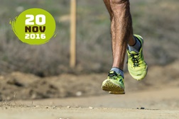Odemira: 24ª edição do Cross dos Cavaleiros em Vale de Santiago