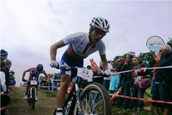 David Rosa