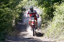 Hélder Rodrigues