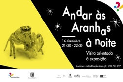 Andar às Aranhas à Noite no Exploratório - Coimbra
