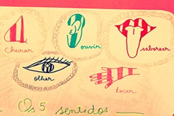 Descobrir "Os 5 Sentidos" no Museu do Oriente