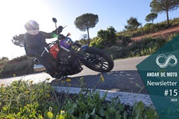 Newsletter nº 15/2023 - 11 de Abril de 2023