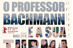 O Professor Bachmann e a Sua Turma