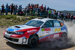 Pedro Rodrigues 