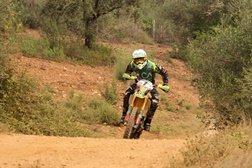 Mário Patrão