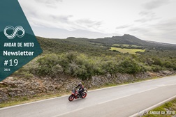 Newsletter nº 19/2021 - 11 de Maio de 2021