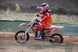 Afonso Gomes