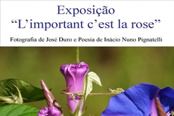 Fotografia e Poesia dão mote a "L'important c'est la rose"