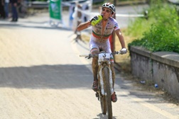 David Rosa