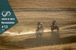 Newsletter nº 38/2022 - 20 de Setembro de 2022