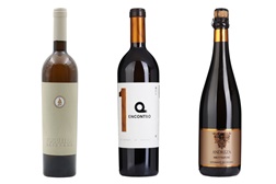 Os “Melhores do Ano” no concurso Vinhos de Portugal que merecem lugar à mesa neste verão