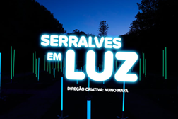 Serralves em Luz entra na reta final - Todos os dias, a partir das 20 horas, até 3 de novembro