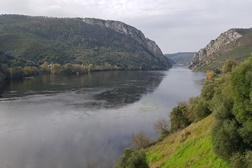 As estradas esquecidas da Beira Baixa