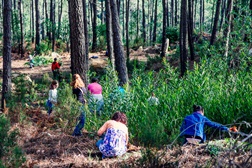 Dia Mundial da Floresta nos parques e monumentos de Sintra