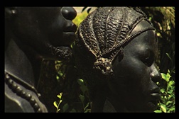 Exposição "O Jardim" de Vasco Araújo no Museu da Imagem em Braga