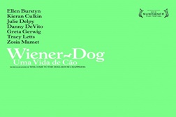 Wiener-Dog - Uma Vida de Cão