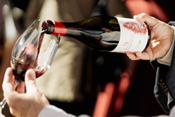 Novo tinto da Quinta do Sampayo vinca o respeito pelas práticas de agricultura regenerativa