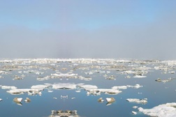 Evaporated Landscapes - Performance Visual de Mette Ingvartsen