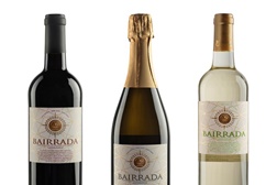 Bairrada: vinhos da região eleitos para representar Portugal nos Jogos Olímpicos Rio 2016