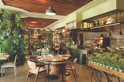 Restaurante Erva: o palco do jazz em Lisboa - O restaurante lisboeta enche-se de música e sabor com atuações de jazz ao vivo todas as sextas e sábados