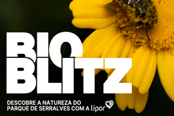 BioBlitz em Serralves  - Dias 5 e 6 de Abril
