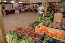 Quinta do Anjo recebe novas edições do Mercado da Aldeia