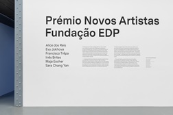 Nova exposição Prémio Novos Artistas Fundação EDP - Até 8 de Setembro de 2025
