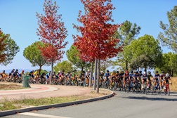 Agenda de Ciclismo (23 de maio de 2021)