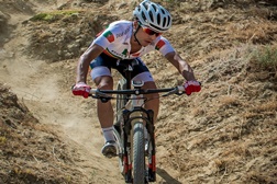 David Rosa