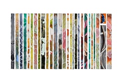 Exposição de pintura de Maria Botelho  na Galeria Beltrão Coelho - De 4 a 25 de setembro