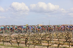 Agenda de Ciclismo (18 e 19 de março de 2023)