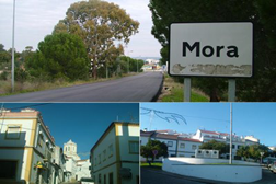 Mora informa agenda cultural por SMS