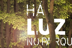 Instalação "Há Luz no Parque" em Serralves