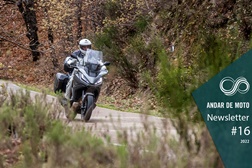 Newsletter nº 16/2022 - 20 de Abril de 2022