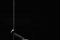 3.ª edição da Mostra Estufa - Dois dias de circo contemporâneo no Porto