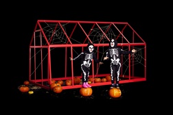 Hunter para este Halloween  - Porque até os esqueletos precisam de galochas