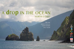 Marco Fidalgo participa no projecto "A Drop in the Ocean"