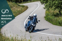 Newsletter nº 21/2025 - 27 de Maio de 2025