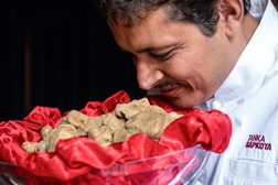 Chef Tanka Sapkota inicia época das trufas brancas de Alba com menu especial no Come Prima - O Menu Trufa Branca vai estar disponível entre 26 de novembro e 06 de dezembro