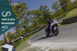 Newsletter nº 05/2026 - 4 de Fevereiro de 2026