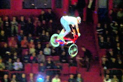 Nitro Circus Live
