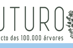 Município de Valongo duplica plantação de árvores autóctones
