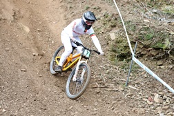 Gonçalo Bandeira