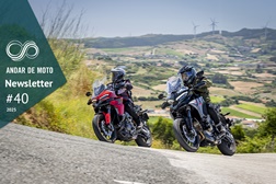 Newsletter nº 40/2025 - 09 de Outubro de 2025